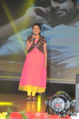 Rowdy Fellow Movie Audio Launch